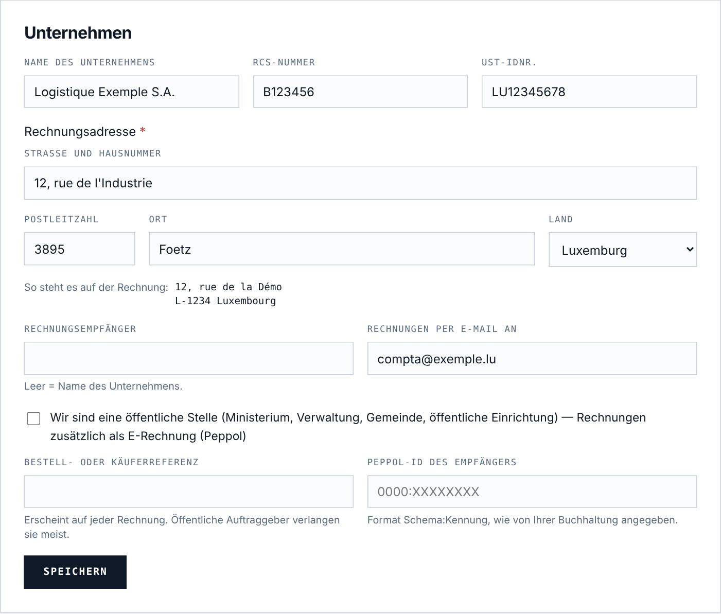 Firmendaten und Rechnungsadresse.